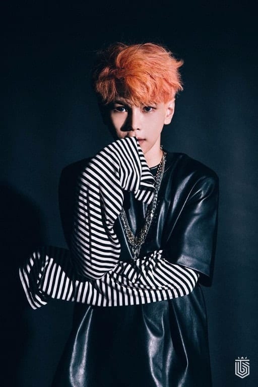 Hansol Topp Dogg