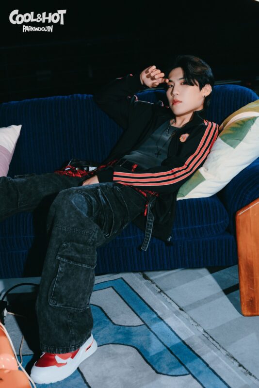 PARK WOO JIN