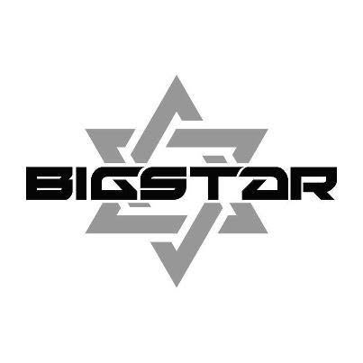 BIGSTAR Logo