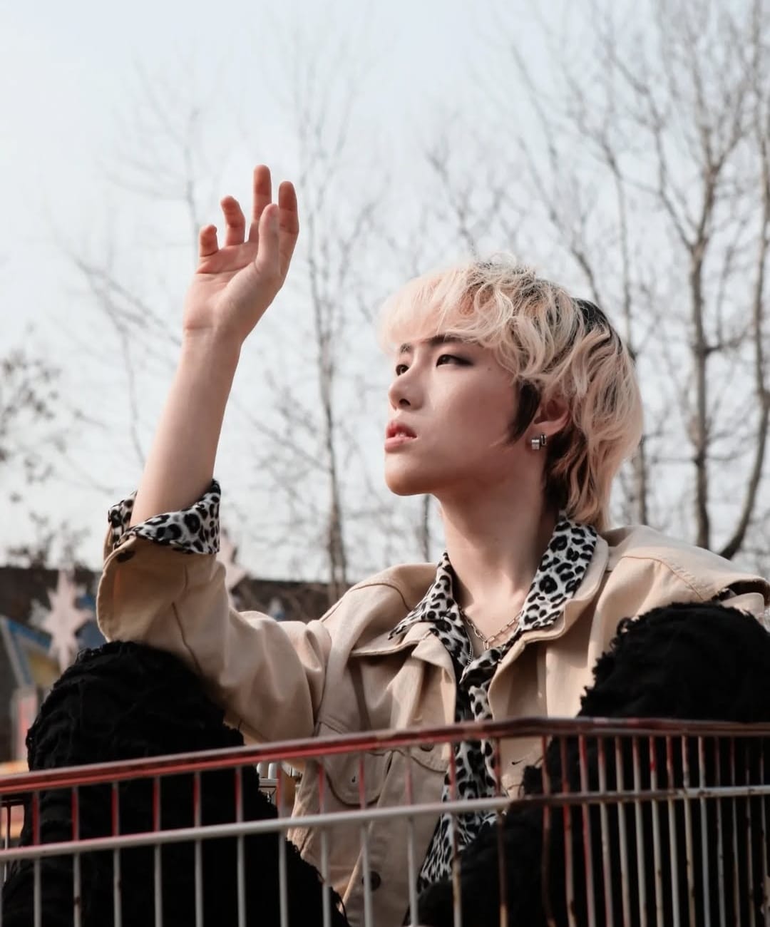 Ursa Major Kiko