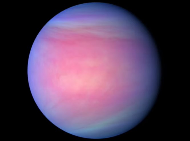 Belle-Venus