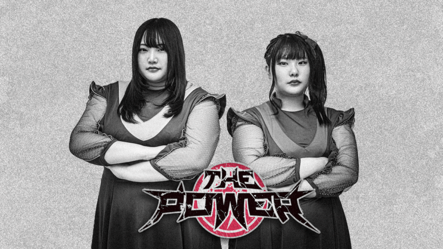 THE POWER