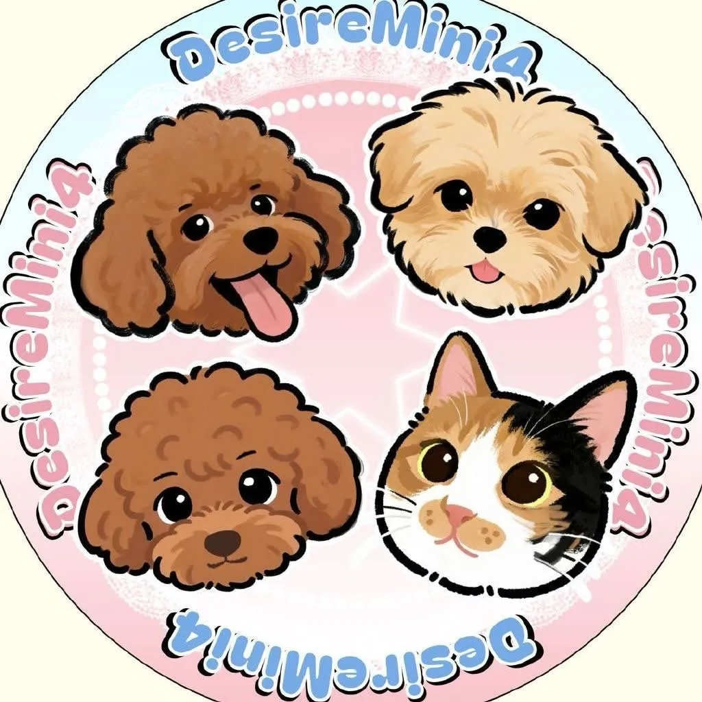 desire4 desiremini4 group icon, huang xing eliot kipuka qiu dingjie